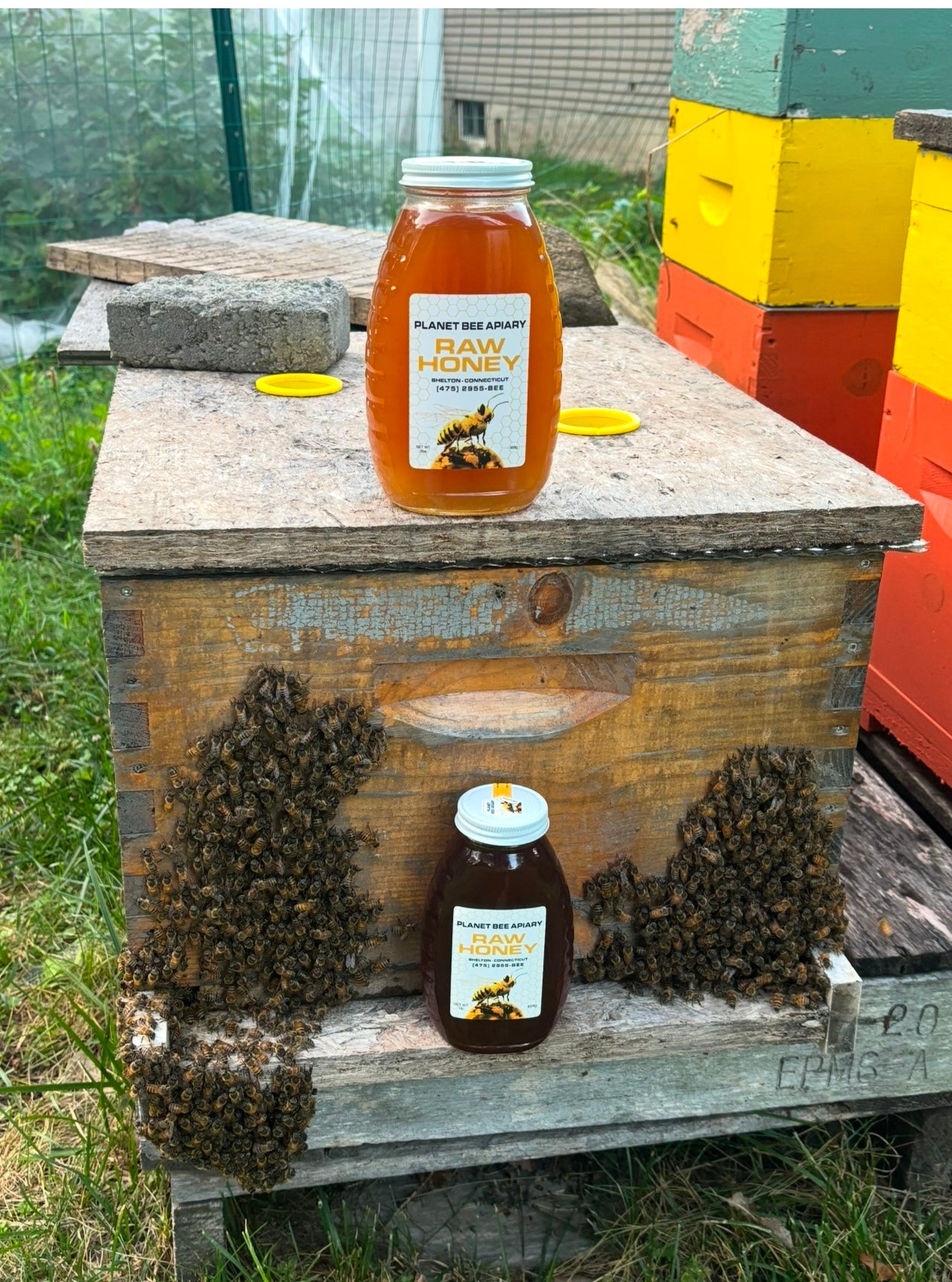 RAW HONEY 8oz