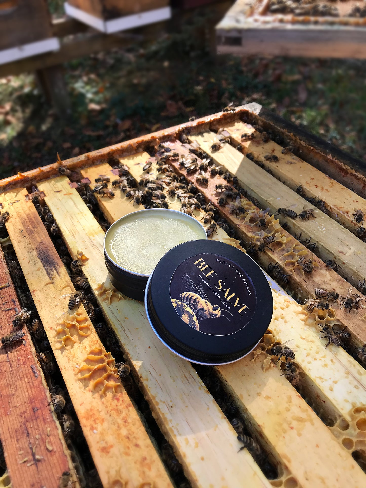 BEE SALVE with ORANGE BLOSSOM essential oil