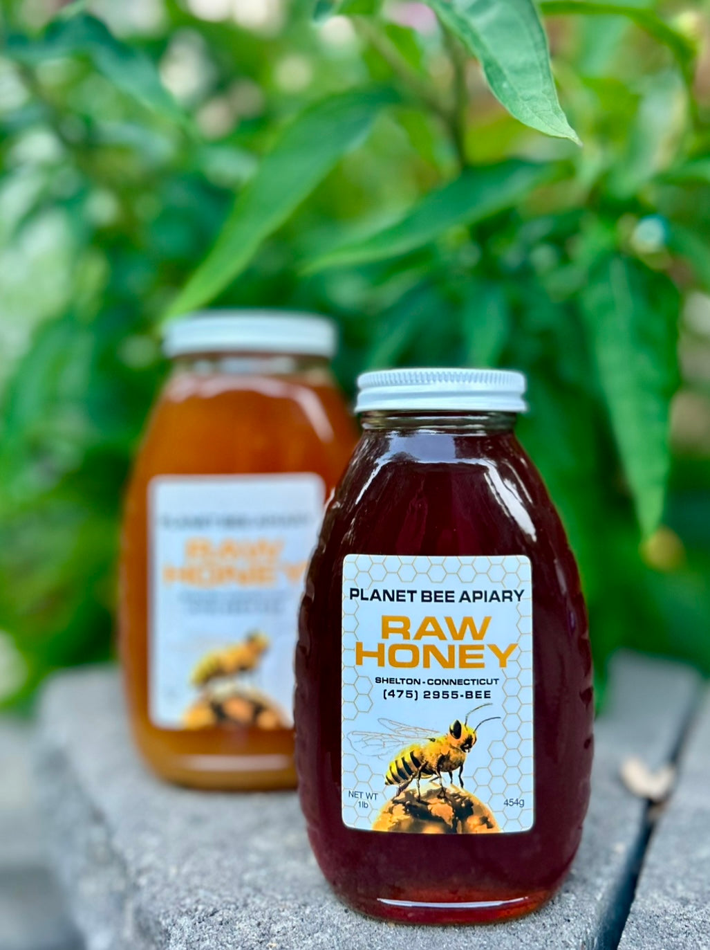 RAW HONEY 2lbs