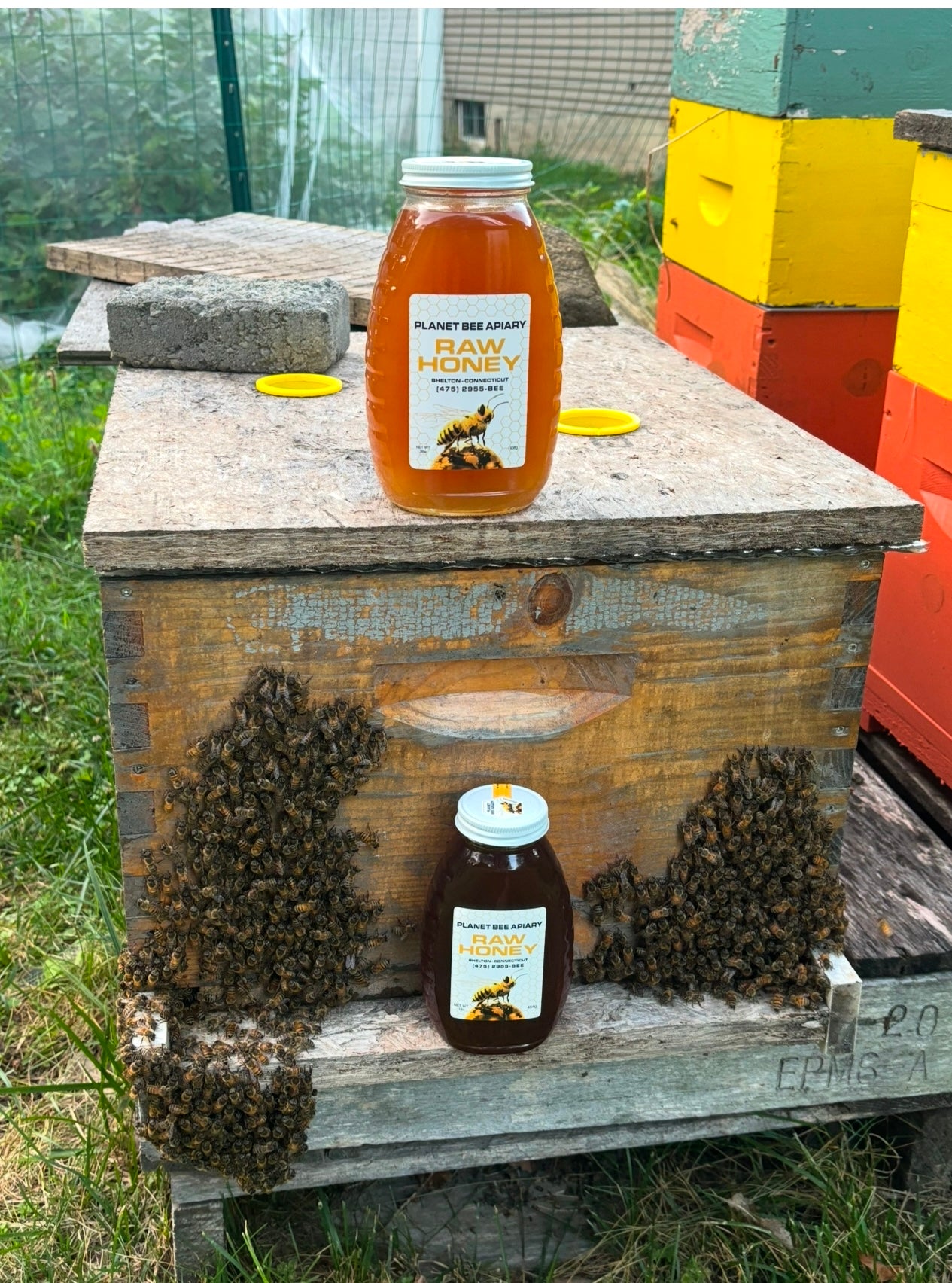 RAW HONEY 2lbs