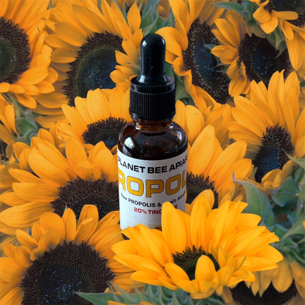 PROPOLIS TINCTURE