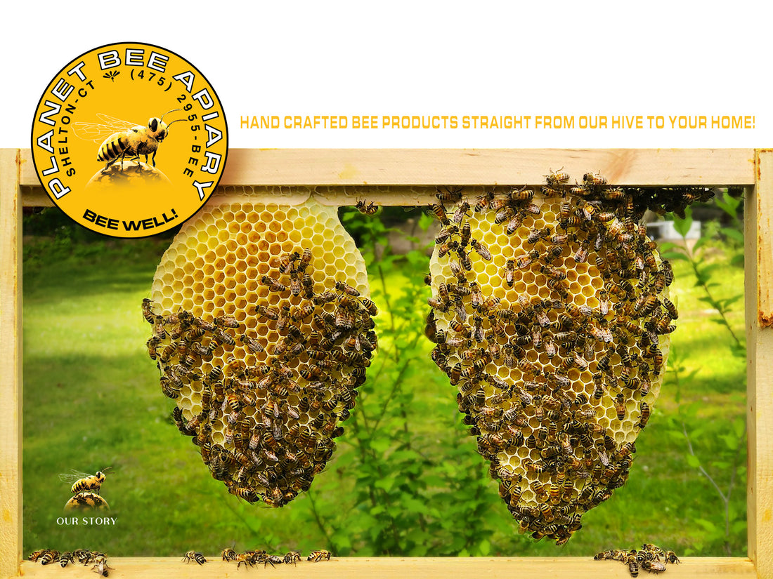 PLANET BEE APIARY